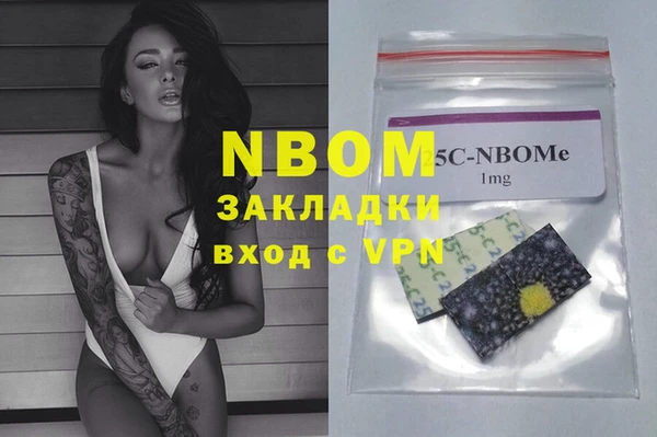 стаф Алзамай