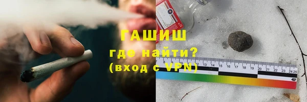 стаф Алзамай