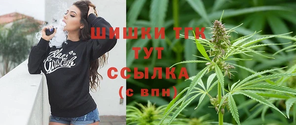 стаф Алзамай