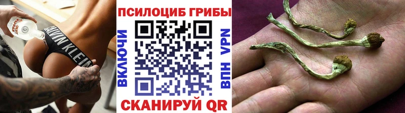Галлюциногенные грибы MAGIC MUSHROOMS  Аркадак 