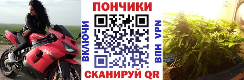наркошоп Аркадак Каннабис планчик